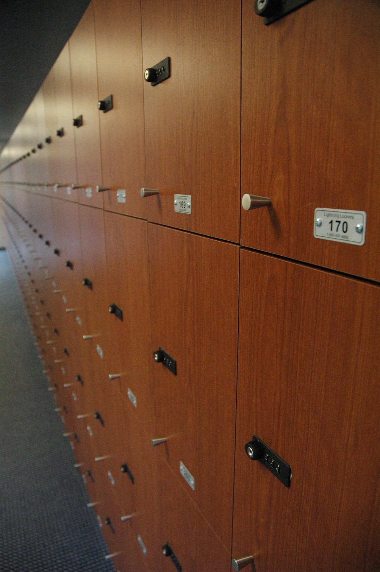 Modern locker room with showers